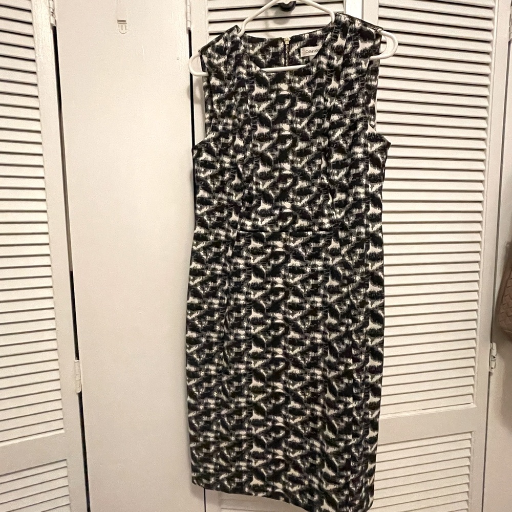 Calvin Klein Professional Dress